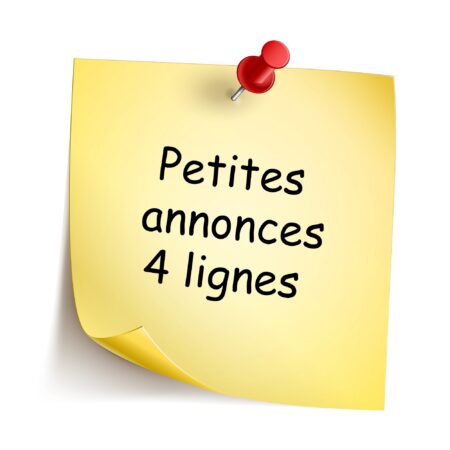 Petite annonce – 4 lignes sans photo